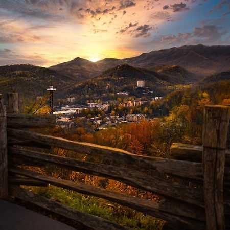 Heavenly Bear, Hot Tub, 1089 Of Free Attraction Tickets For Each Paid Day, Dollywood And More Sevierville Eksteriør billede