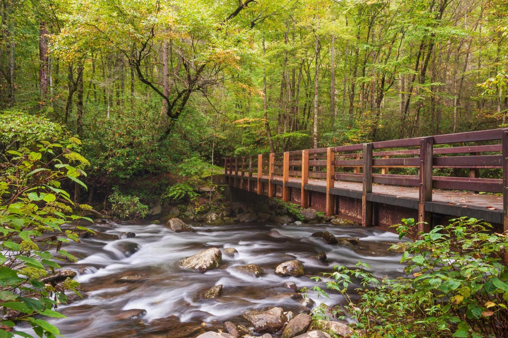 Heavenly Bear, Hot Tub, 1089 Of Free Attraction Tickets For Each Paid Day, Dollywood And More Sevierville Eksteriør billede